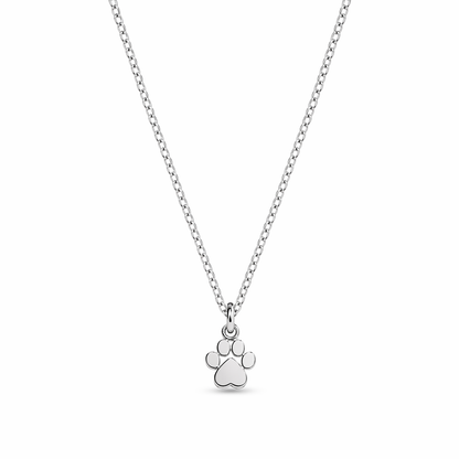 Collana Zampa Gatto in Acciaio – Ciondolo Mini Paw Print | Regalo Amanti Gatti e Cani | EvermadeLab